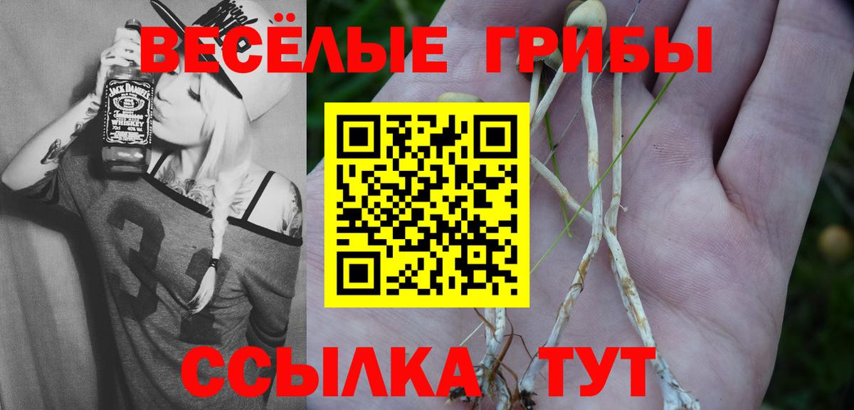 Галлюциногенные грибы MAGIC MUSHROOMS Феодосия